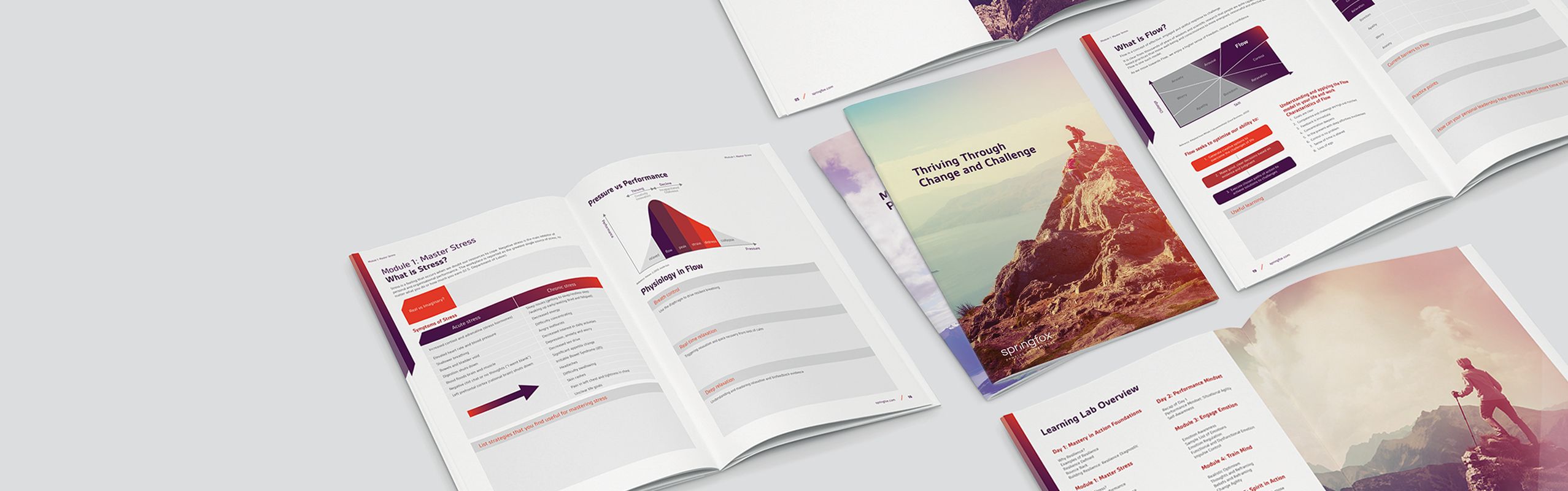 Springfox - Learning Lab collateral