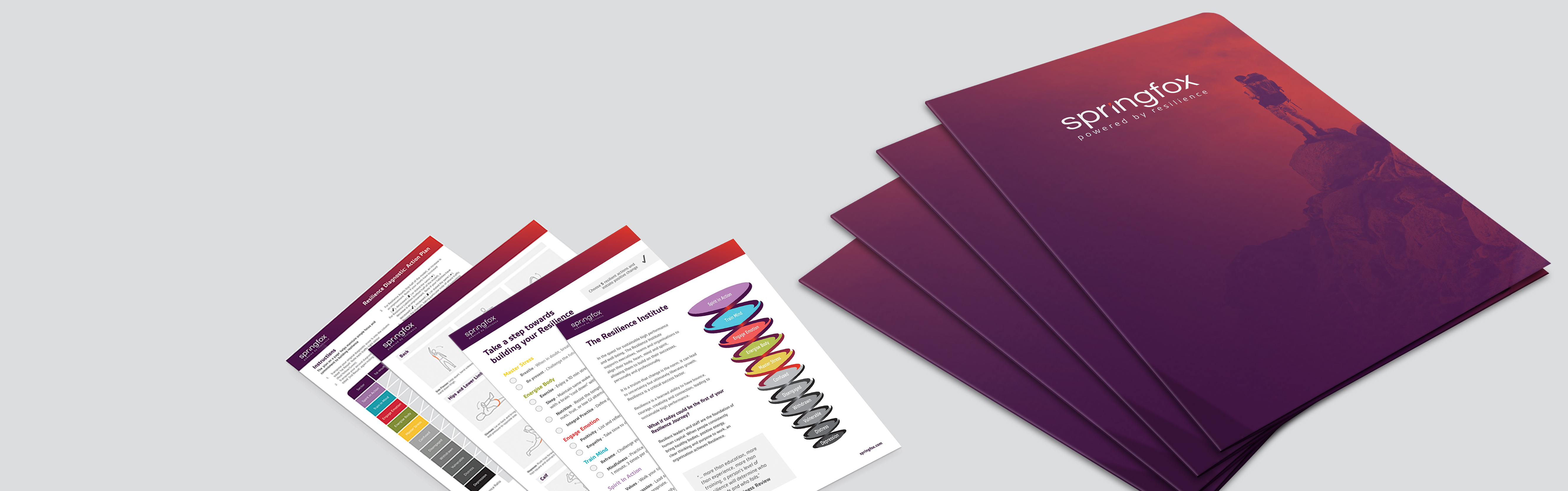 Springfox - Lab Take Aways