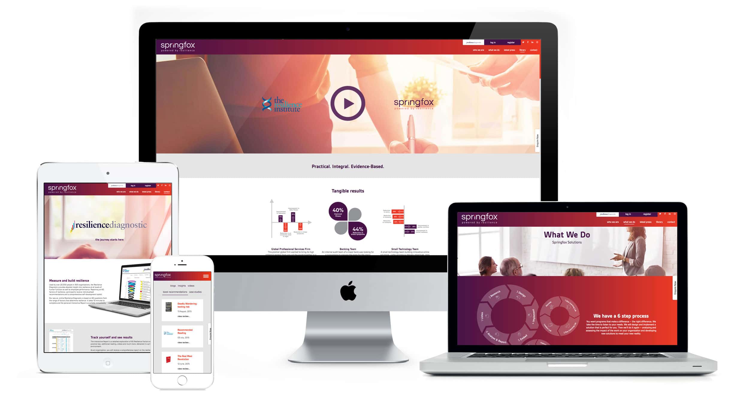 Springfox - digital evolution