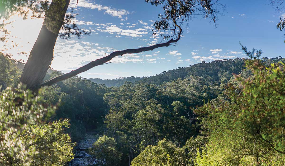 Heartridge - Brand Imagery