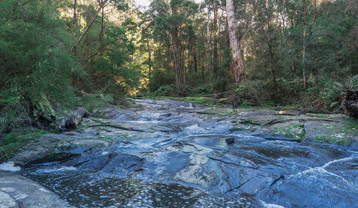 Heartridge - Brand Imagery