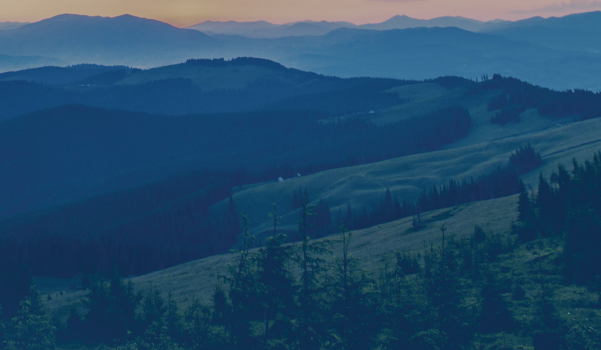 Heartridge - Brand Imagery