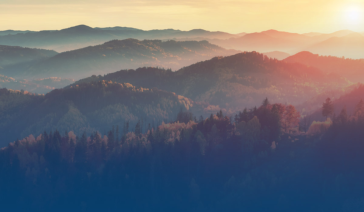 Heartridge - Brand Imagery